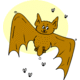 chauve souris