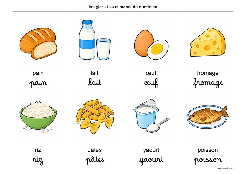 Pain, lait, œuf, fromage, riz, pâtes, yaourt et poisson, avec les mots en français, en script et cursive, couleur