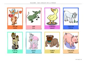 Aperçu de la planche 3 en français : majuscules et minuscules, couleur