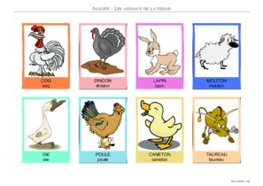 Aperçu de la planche 4 en français : majuscules et minuscules, couleur