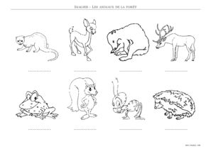 Aperçu de la planche 1 sans les noms : pointillés à compléter, noir et blanc