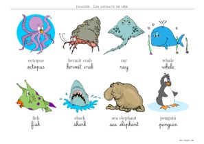 imagier animaux de la mer en anglais
