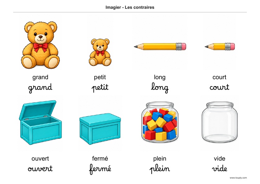 Oursons grand et petit, crayons long et court, coffres ouvert et fermé, bocaux plein et vide, mots en français, script et cursive, couleur