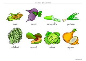 imagier legume couleur écriture cursive