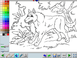 album de coloriage animaux de la foret