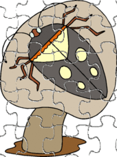 puzzle de champignon 