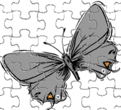 puzzle de papillon 